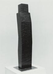 Puberte, 75x14x10