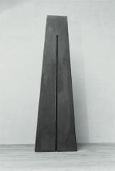 Torso, 200x60x15
